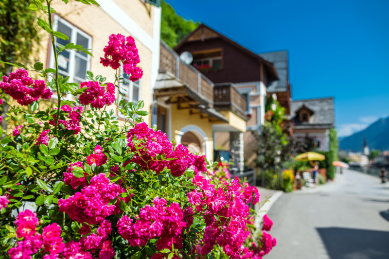 austria-hallstatt