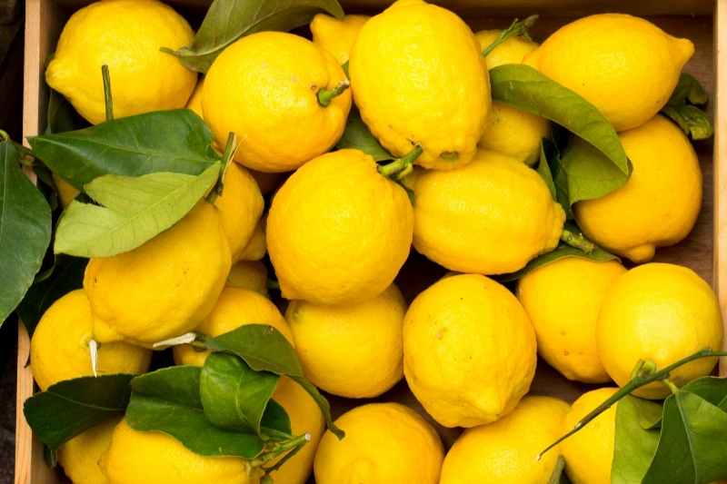 italy-cinque-terre-limoncino