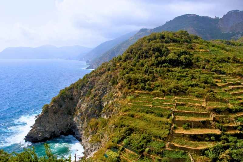italy-cinque-terre-vermentino