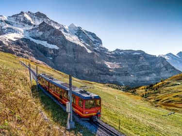 德瑞雙峰雙列車10日